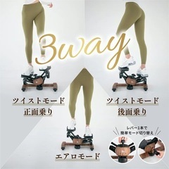 【ほぼ未使用】ルネサンス/ツイストステッパーの画像
