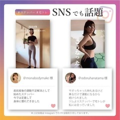 【ほぼ未使用】ルネサンス/ツイストステッパーの画像