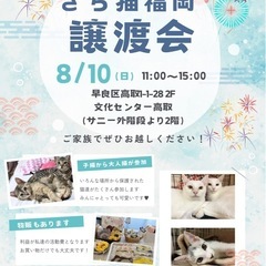 8/10 さち猫福岡譲渡会　文化センター高取