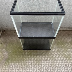 水槽プレゼント③の画像