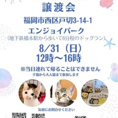 8/31 さち猫福岡譲渡会　エンジョイパーク