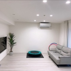 ニトリ　ソファー　グレーの画像