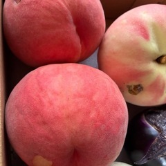 桃３個と野菜の画像