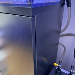 海水魚　オルカ SHELL2 シェル2 背面濾過水槽 クーラー 外部フィルター プロテインスキマー 生体付の画像