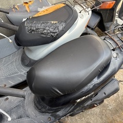 ホンダ　ライブディオ　の画像