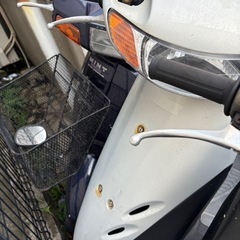 ホンダ　ライブディオ　の画像