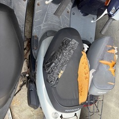ホンダ　ライブディオ　の画像