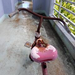 三輪車！不動…の画像