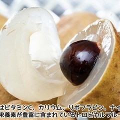 生龍眼　生リュウガン　生ロウガン　生竜眼　ベトナム産　500g ③の画像