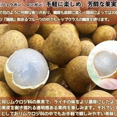 生龍眼　生リュウガン　生ロウガン　生竜眼　ベトナム産　500g ③の画像