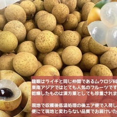 生龍眼　生リュウガン　生ロウガン　生竜眼　ベトナム産　500g ③の画像
