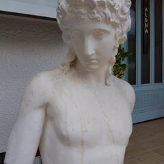 アムール半身像　の画像