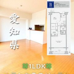 【初期費用ゼロ🙌】愛知県名古屋市 1LDK 家賃9.8万 …