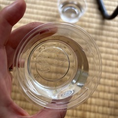 【1匹30円】元気なメダカお譲りしますの画像