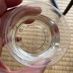 【1匹30円】元気なメダカお譲りしますの画像