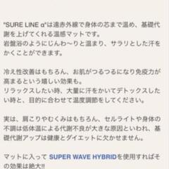 SURE LINE α　①の画像