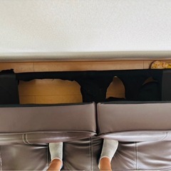 （お話中）ソファベッドの画像