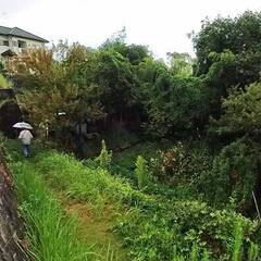 【畑小屋】解体撤去のご依頼現調へ行ってきました。