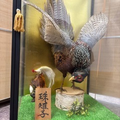 キジ　珠雉子　アンティーク　骨董品　インテリアの画像