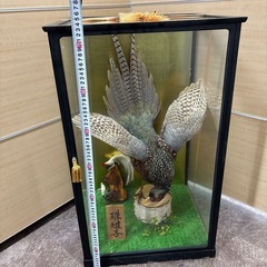 キジ　珠雉子　アンティーク　骨董品　インテリアの画像