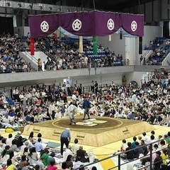 大相撲夏場所　立飛　8/28 チケット2枚の画像