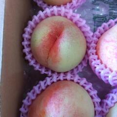 犬山しのおかの桃　愛知白　10個入1箱(半箱)　税込2100円の画像