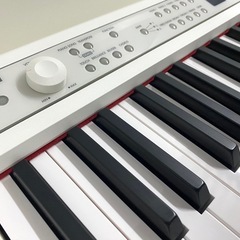 お買い得♪スリムな本格派！KORG  LP380  の画像