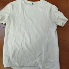 メンズTシャツの画像