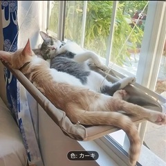 取引中　
窓用　猫のハンモックの画像