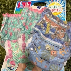 水遊び用パンツの画像