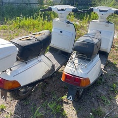 ヤマハ　ベルーガ80  2台セットの画像