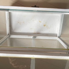 【salut! サリュ】　ガラスキャビネット ショーケース ガラスケースの画像