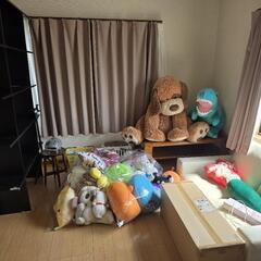 写真に写っている物全部無料❕