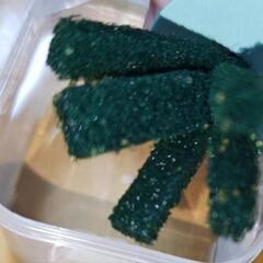 【限定ゲリラセール】花魁めだかの卵  産卵床ごとの画像