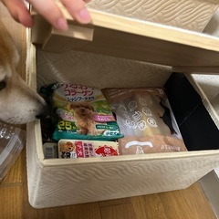 猫ちゃん、ワンちゃん用ステップ　階段　小屋 収納　の画像