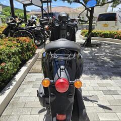🛵 ホンダ Today 🛵 50cc 原付 バイク
の画像
