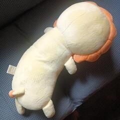 さくたろうぬいぐるみの画像