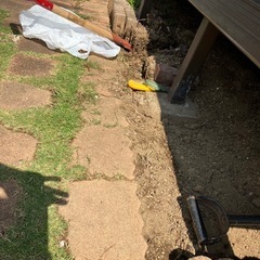 庭土(ムラサキゴテンの根っこ／ハナニラの球根ごと)
の画像