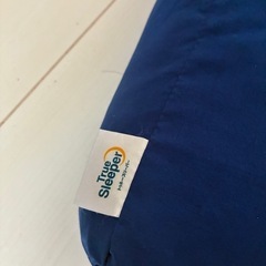 トゥルースリーパー座布団の画像