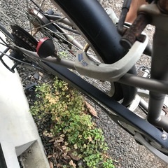 フリーパワー自転車の画像