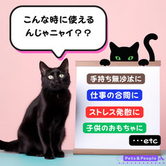 【いつでもいつまでも無限にモグラたたき】　※ねこタイプ　ブルー色の画像