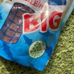 サビキ釣り用エサ　アミのチャージBIG 1200gの画像