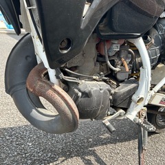 お渡し先確定しました。ありがとうございます。の画像