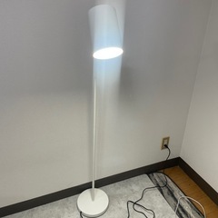 フロアライトの画像