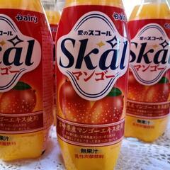 炭酸飲料  愛のスコールマンゴー10本 ② の画像