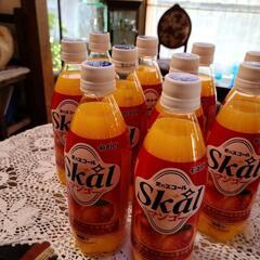 炭酸飲料  愛のスコールマンゴー10本 ② の画像