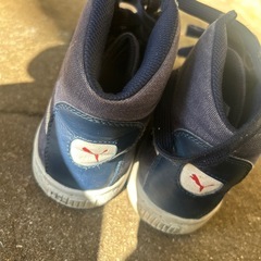 25の画像