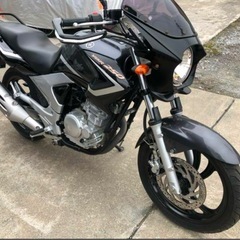 YBR250 車両交換可の画像