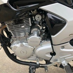 YBR250 車両交換可の画像