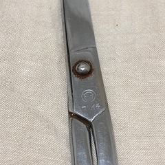 ハサミの画像